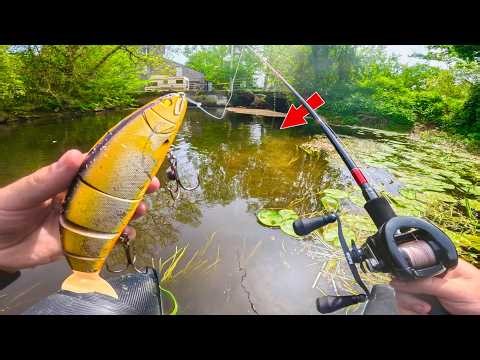 La MEILLEURE OUVERTURE BROCHET de ma VIE ! Une pêche EXCEPTIONNELLE...