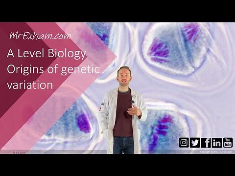 Origins of Genetic Variation - A Level Biology