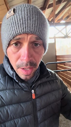 Adopt These Adorable Goats Today!