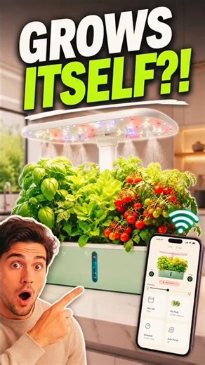 700% Faster Growth? This Misting System is Insane💧 #gardening #hydroponic #diy