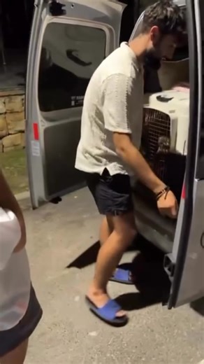 Adoption Success Story We're overjoyed to see our little Teacup poodle pup settle into her forever home Our adoption process aims to bring families and furry friends together, and it's moments like this that make it all worth it. Thanks to our wonderful adopters for trusting us with their new furry family member with a smooth adoption and delivery #paratiiiiiiiiiiiiiiiiiiiiiiiiiiiiiii #keşfet #anime #follow #humor