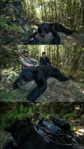 Look for the NEW AXYS! #elitearchery l #carbonbow