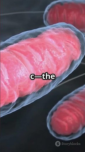 Inside the Cell’s Self-Destruct Sequence #shorts#cellbiology #shortsfeed #shortvideo #facts