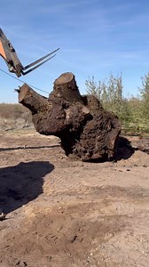 92K views · 4.5K reactions | It’s really heartbreaking when you think...