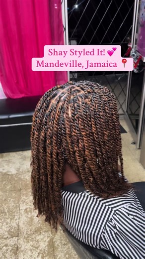 Creative Mini Twists Hairstyle Ideas for Your Look