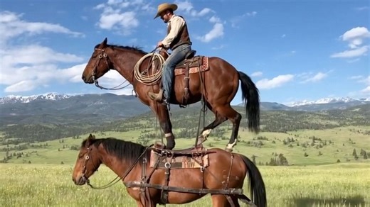 What to know about OpenAI’s new AI video app that could rival TikTok