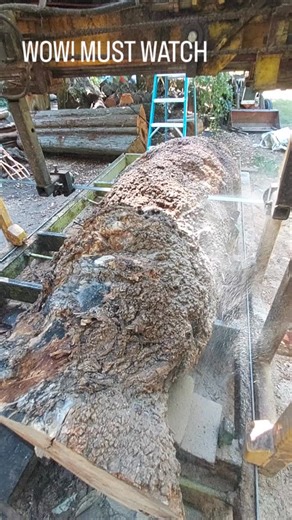 RedFalcon Woodworks on Instagram: "What can this be I wonder?! Got to wait for it! #milling #process #slablife #burlwood #woodworking"