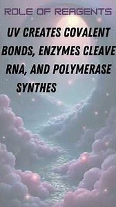 iCLIP (Individual-Nucleotide Resolution CLIP)