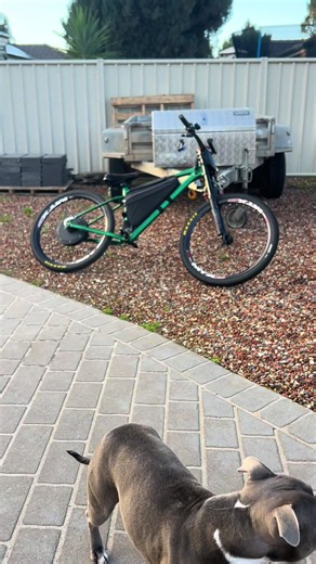 Mini Bike Conversion Kit 1500W Ebike Guide