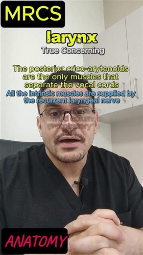 LARYNX ANATOMY #mrcsstudy #mrcsparta #boardexam2026