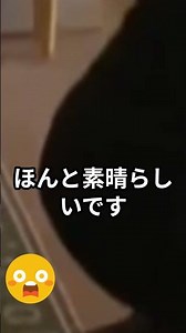 [Artistic] Princess Kiko's "Masterful Curtsy" and Prince Akishino's Passionate Cheek Kiss Go Vira...
