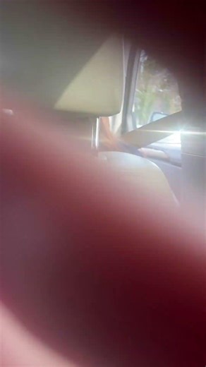 Loop tutorial for all people