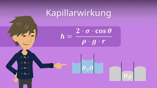 Kapillarwirkung: einfach erklärt, Formel, Beispiele