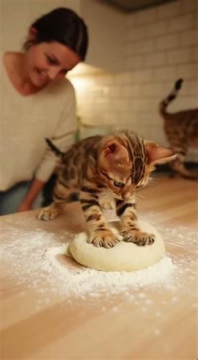 Tiny Bengal Baker: Kneading Dough With Little Paws 🐾