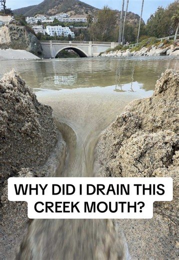 Why did I drain this creek mouth? - CREEK BREAK! - Well I did this because it prevents Mosquitos, and there has ban many cities testing mosquitos positive with West Nile Virus close to here. So preventing stagnant water is good! Also good for the environment, prevents flooding, property damage, meandering, and harmful bacteria growth in stagnant water. #SoLagLocal #CreekChronicles #BreakTheBerm #Viral