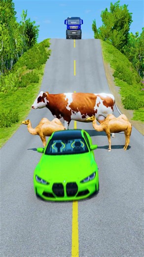 Colorfull Cars & Truck vs Cow & Dromedary Cameles Classic Characters - BeamNG.Drive