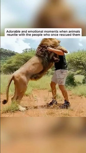 Adorable and emotional moments when animals reunite with the people who once rescued them...