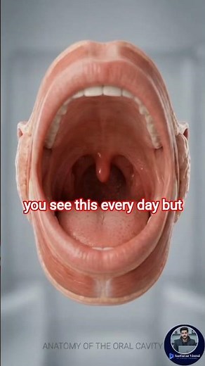 This Tiny Body Part Controls Your Voice 😲” #facts #3danimation #3d #3dmedicalanimation