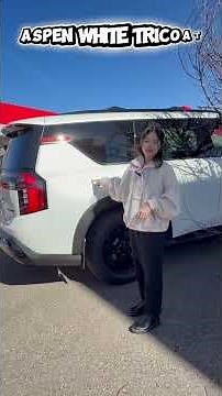 Nissan Color Names for Vehicles - Here's Taylor for The Tour