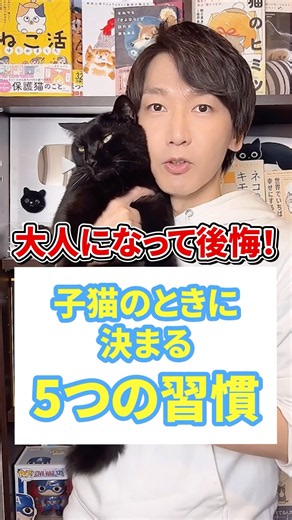 大人になって後悔！子猫のときに決まる５つの習慣 #猫 #猫のいる生活 #ねこ