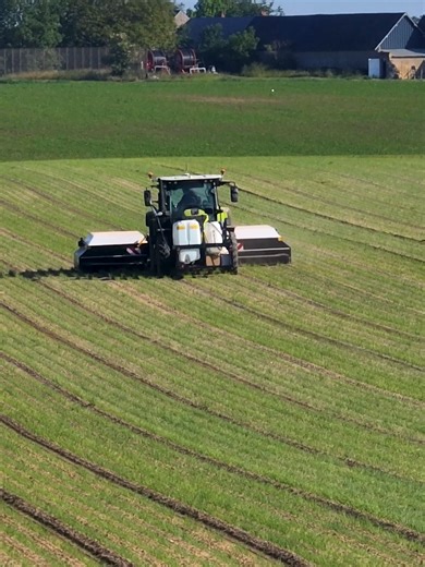 1️⃣ ARA SAUVE LA MISE les mauvaises années ! 🎯 Le pulvérisateur ultra-haute précision change la donne à l'@eta.dunoise 🆗 Prise en main rapide 🆗 Réglages simples 🆗 Haute efficacité de traitement ✅ Parfait pour protéger les cultures quand les fenêtres météo sont courtes ! www.ecorobotix.com #agriculture #tracteur #PrecisionAg #Ecorobotixc #CropCare #PlantByPlant @groupemethivier