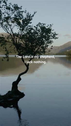 Pause, reflect, and lean into God’s perfect peace today. | Our Daily Bread Ministries