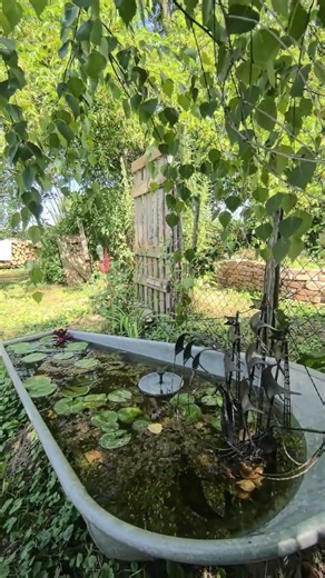 #oase Life in #Hungary