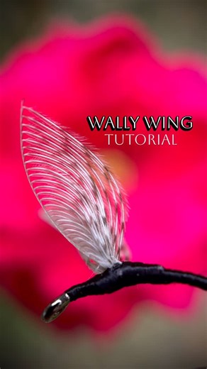 David | Making Wally Wings ⠀ ⠀ ⠀⠀⠀⠀ ⠀ ⠀⠀⠀⠀ ⠀⠀⠀⠀ ⠀ ⠀⠀⠀⠀ ⠀ ⠀ ⠀⠀⠀⠀ ⠀ ⠀⠀⠀⠀ ⠀⠀⠀⠀ ⠀ ⠀⠀⠀⠀ ⠀ ⠀ ⠀⠀⠀⠀ ⠀ ⠀⠀⠀⠀ ⠀⠀⠀⠀ ⠀ ⠀⠀⠀⠀ ⠀ ⠀ ⠀⠀⠀⠀ ⠀ ⠀⠀⠀⠀ ⠀⠀⠀⠀ ⠀ ⠀⠀⠀⠀ ⠀ ⠀ ⠀⠀⠀⠀... | Instagram