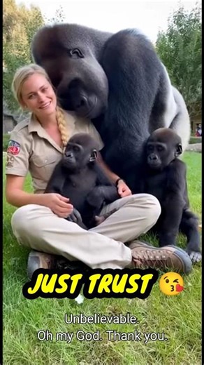 This Gorilla Hug Was Not Planned… 😭 | Kind Hands 🇺🇲 #shorts #kindhands