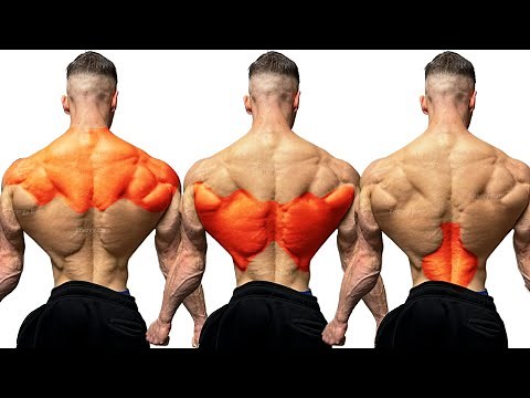 HOW TO GROW YOUR BACK WIDER EFFECTIVELY | HIT THESE EXERCISES