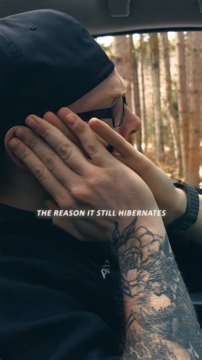 The trees were paid actors 🌲 | Lundy