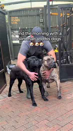 A Morning with a Muslim Man and His Dogs