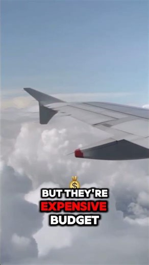 Here’s one way that Ryanair might make more profit than British airways!💰😱 #airplane #short #fly