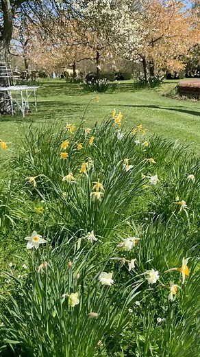 Alan Titchmarsh CBE on Instagram