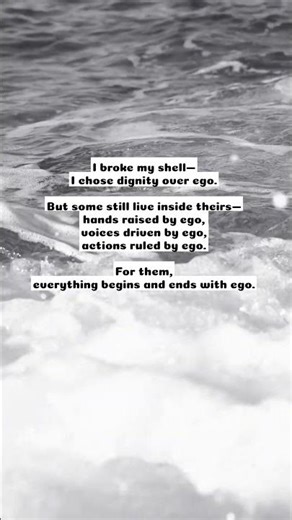 I broke my shell—I chose dignity over ego.