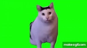 huh?猫 GB素材     #素材 #meme #memes on Make a GIF