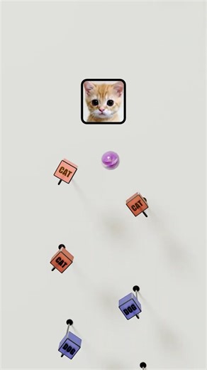 Cat vs Dog | F1 the Movie Main Theme #shorts