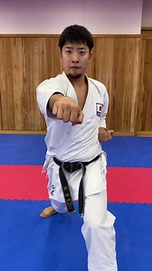5.6K views · 262 reactions | HEIAN NIDAN @chikashi.hayashida | Karate Science | Facebook