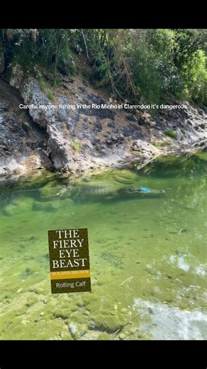 #milkillbill #countbrown #trendingvideo #waterpredator | rio minho river