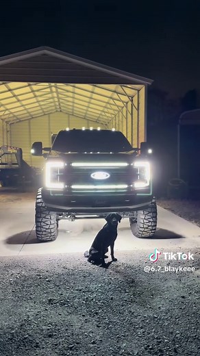 Adventures with a Black Lab in the Mud