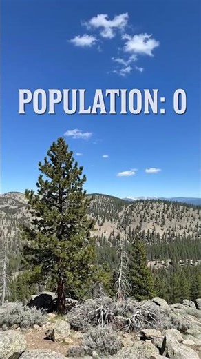 Yellowstone’s "Zone of Death" Explained 🌲💀 #truecrimestories #yellowstone #creepyfacts