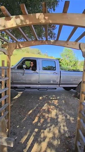 I have a surprise for you! 😅🤭😉 #garden #fruittrees #gardening #citrus #citrus #humar #laughing #lol