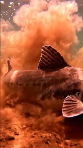 🐠 34 INSANE Fish Facts You NEVER Knew! (Mind-Blowing 🤯)