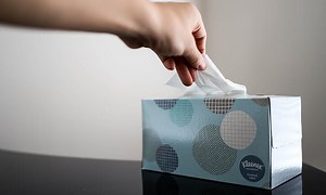 Kleenex owner Kimberly-Clark in carbon clean-up for UK factories