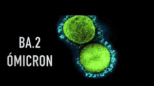 New COVID Wave? Doc Answers Questions on BA.2, That 2nd Booster and More