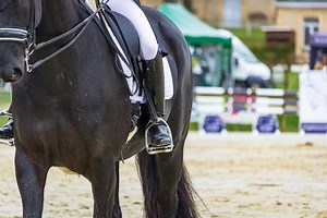 Das sind die 7 besten Songs für Deine Dressur-Kür