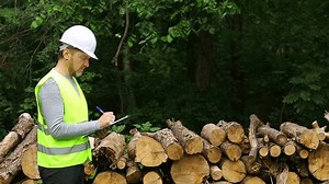 Man forester with clipboard examining dry woods logs. Forestry engineer, inspector appraiser of felled timber, working in the forest at logging.