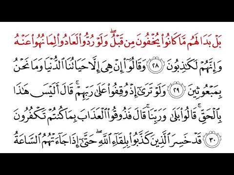 Surah Al-An‘am (6) | Beautiful Quran Recitation with English Meaning