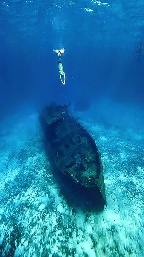 Magical Mermaid Swimming Videos Underwater
