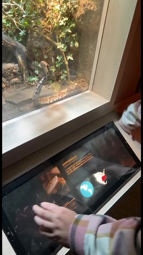 All the real questions @haymj #fyp